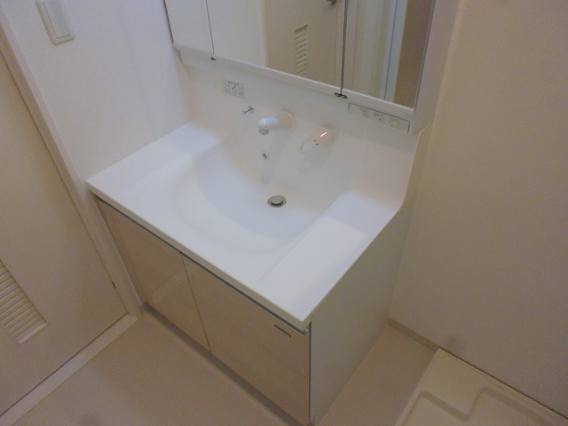 プレミアコート星ヶ丘の洗面所