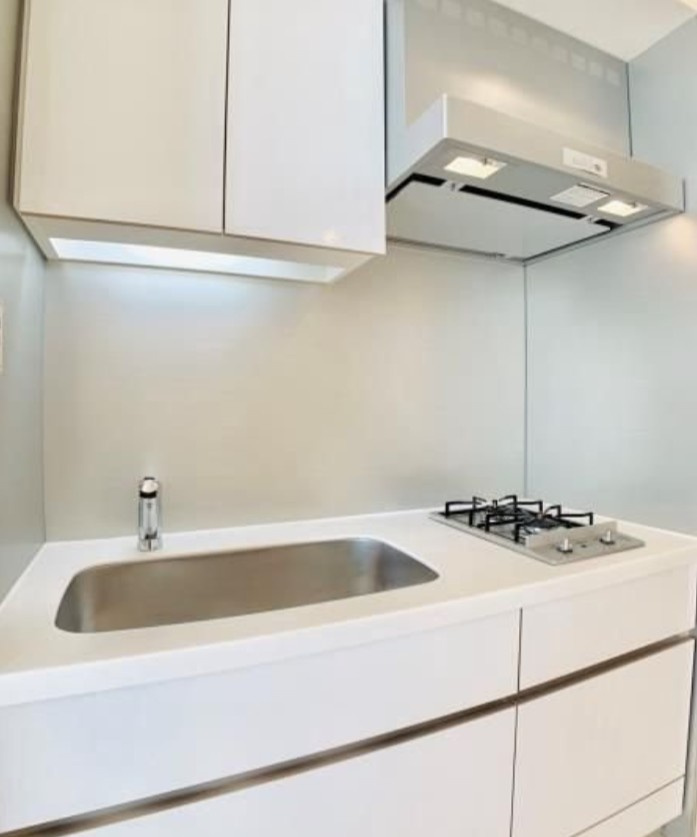 Ｂｒｉｌｌｉａ　Ｍａｒｅ　有明　ＴＯＷＥＲ＆ＧＡＲＤＥＮのキッチン