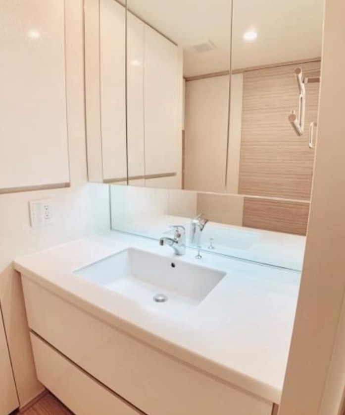 Ｂｒｉｌｌｉａ　Ｍａｒｅ　有明　ＴＯＷＥＲ＆ＧＡＲＤＥＮの洗面所