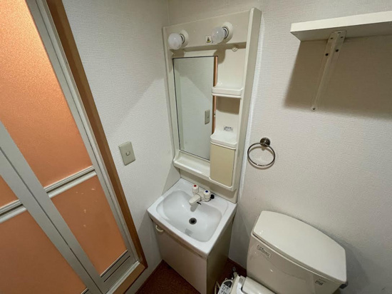 レイローズビルの洗面所