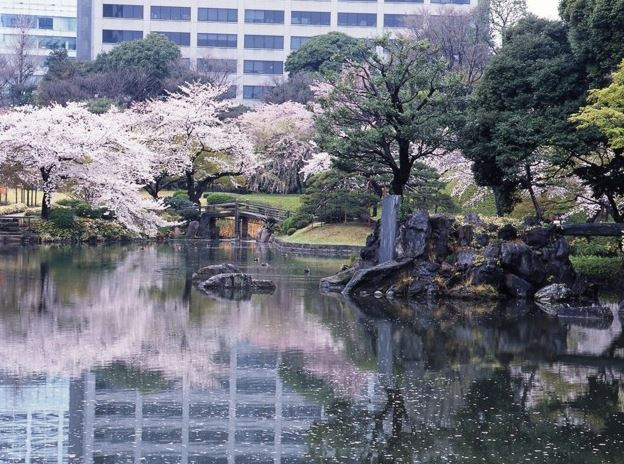 ＪＰ　ｎｏｉｅ　小石川富坂の周辺
