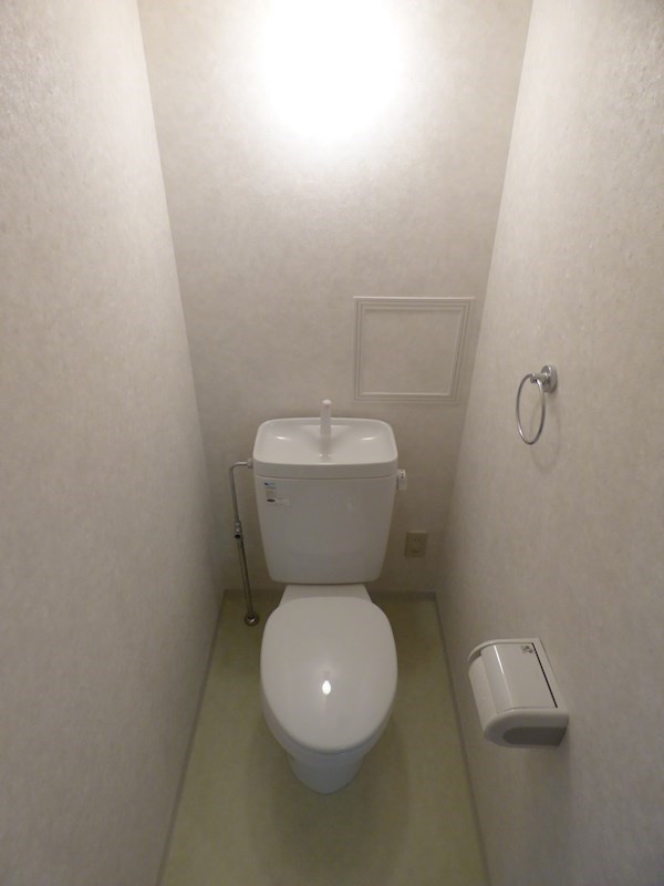 ビューテラス岡本のトイレ