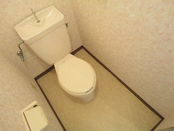 メープルレジデンスのトイレ