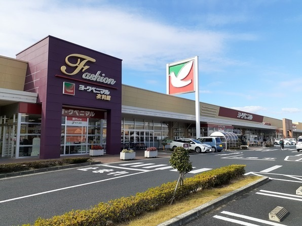 サンホワイトのその他|その他