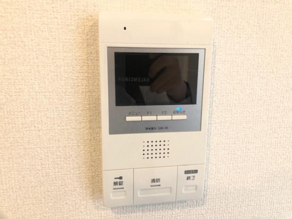 カーネリアンのセキュリティ