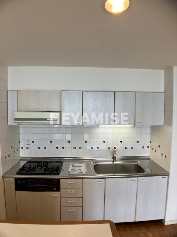 フロンティアTACHIBANAのキッチン