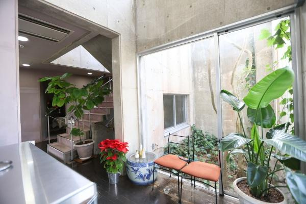 八幡店舗付中古の内装|大きな窓から自然光がたっぷり差し込む空間です。モダンなコンクリート壁と植物の調和が印象的です。ガーデンスペース付きで日々の癒しを感じられます。