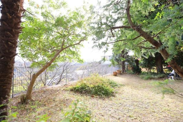 八幡店舗付中古の庭|ゆったりとしたスペースが広がる庭です。木々の緑が目に優しく四季折々の変化を楽しめます。自然に囲まれた雰囲気が魅力的です。柵で囲まれており安心感も感じられます。