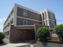 ティン・グロ－ブⅡの画像