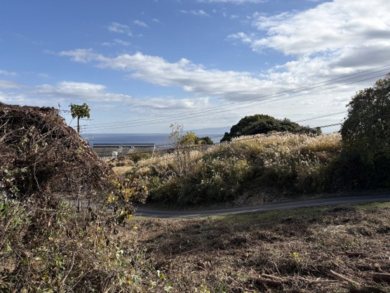  | 伊東市富戸　売地