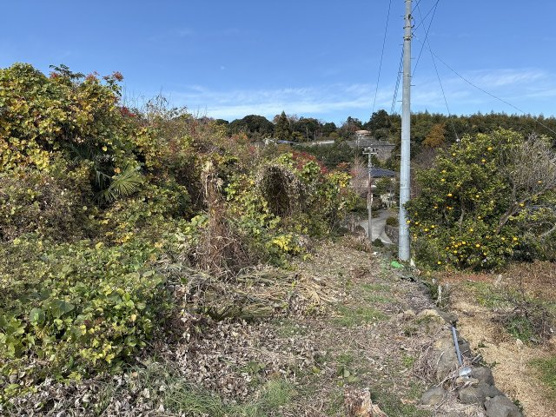 【外観】 | 伊東市富戸　売地