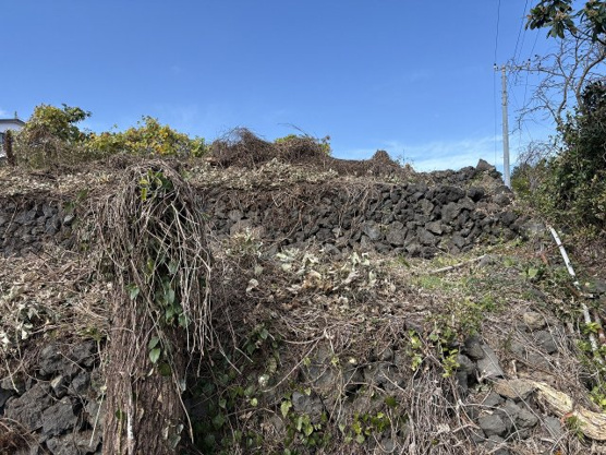 【外観】 | 伊東市富戸　売地