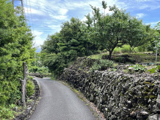 【前面道路含む現地写真】 | 伊東市富戸　売地