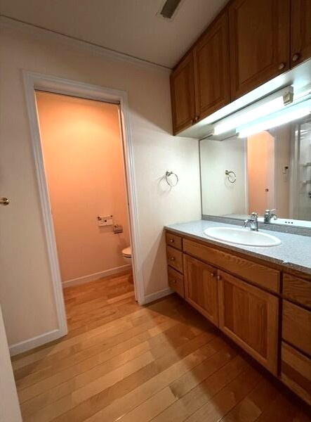 社台タウンハウスの洗面所