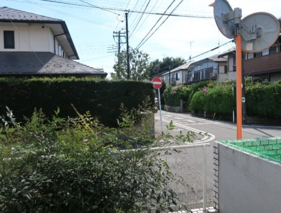 【展望】