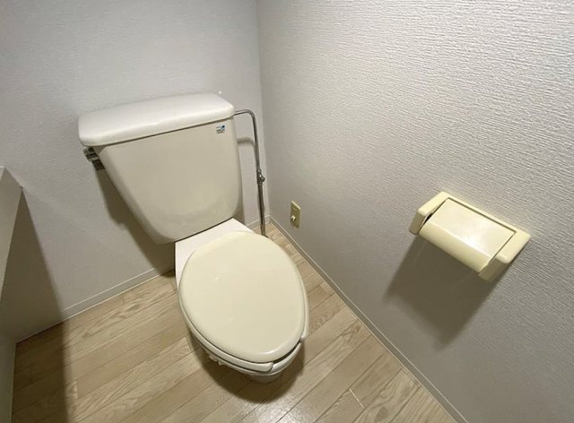 メゾン・ド・ヴィレ駒形の独立洗面台