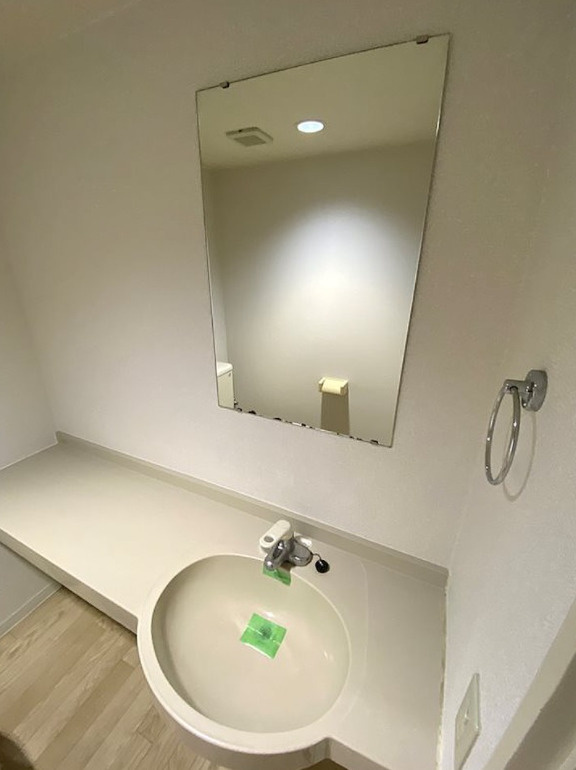 メゾン・ド・ヴィレ駒形の洗面所