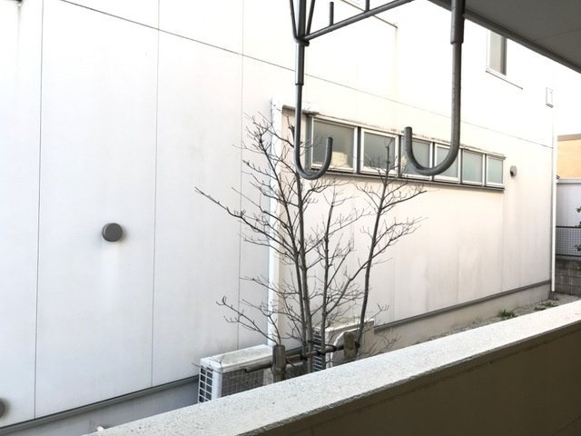 ピアノフォルテの展望