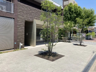 【庭】 | クレヴィア甲子園