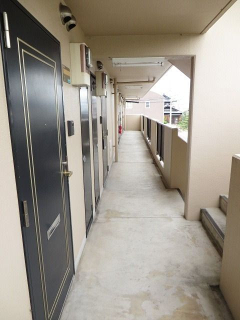 サニーコスモⅡ