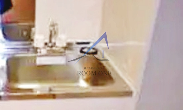 ダイヤモンドレジデンス蓮沼町