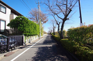 【前面道路含む現地写真】
