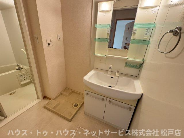 グリーンテリア第10の独立洗面台