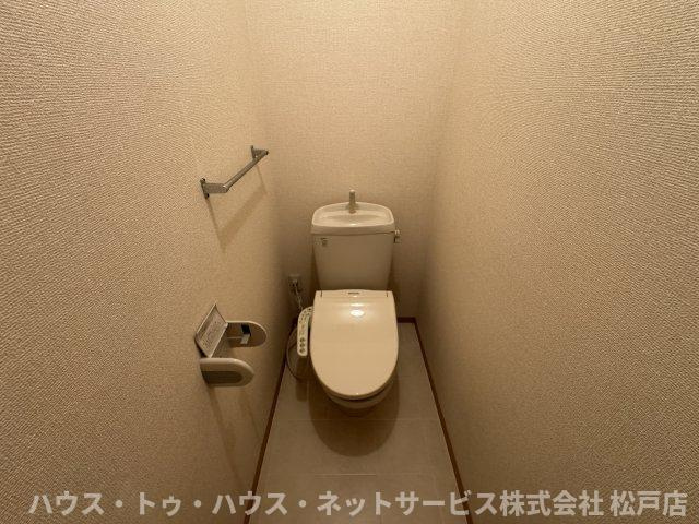 グリーンテリア第10のトイレ