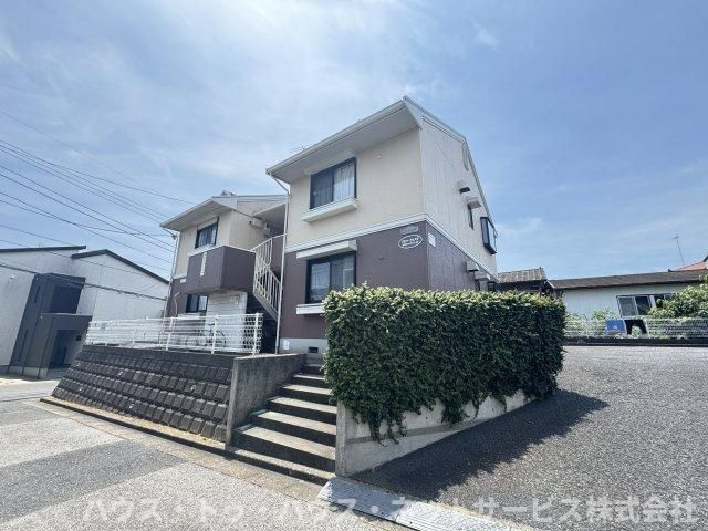 ブエナ・ヴィスタ