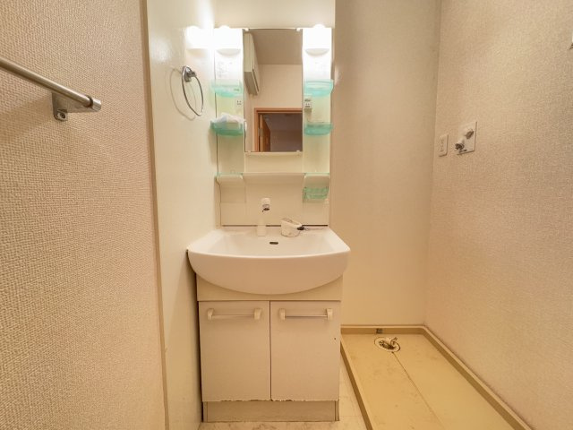 マサーレ・オガワ　B棟の洗面所