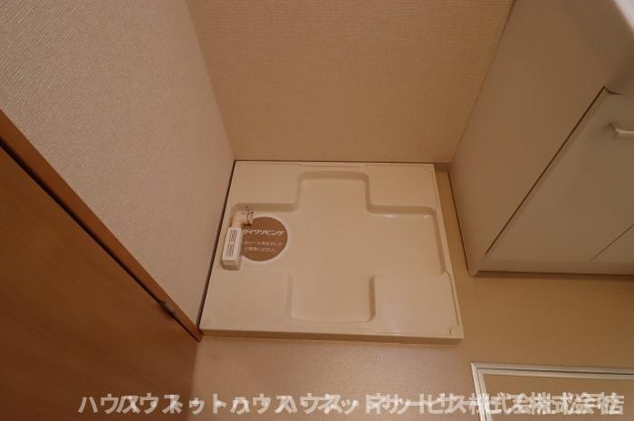 Magnolia coutⅡのその他