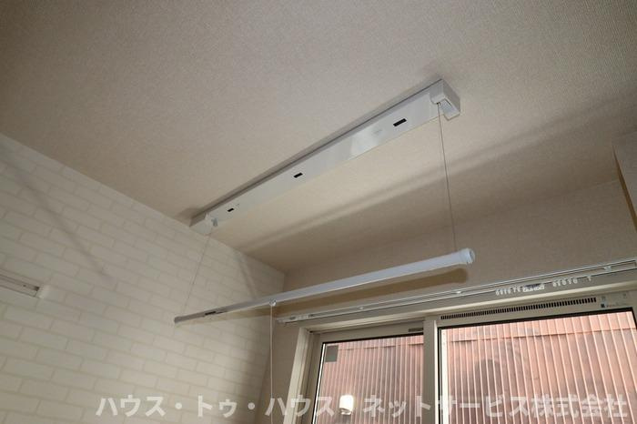 リサーナのその他