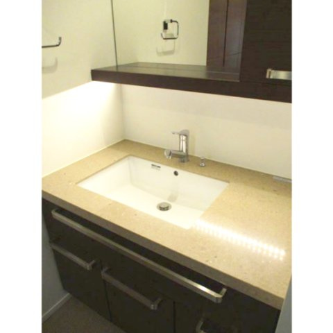 プレシス横濱山手パークフロント（０２１０１８）の洗面所