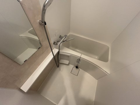 エスリード大阪デュアルゲートの浴室