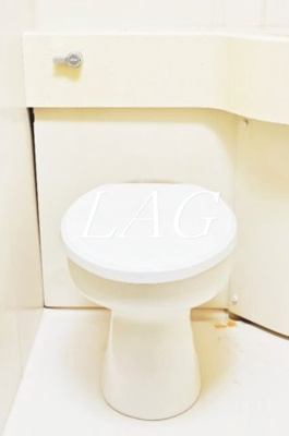 【トイレ】 | ライオンズマンション九段第２ | トイレです。