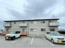 パルム安又の画像