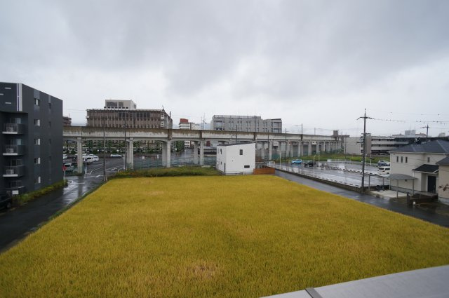 ベルヴェールの展望