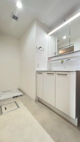 リバティパーク枚方F棟の脱衣所