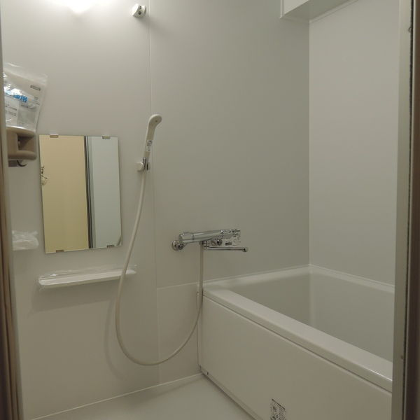 ダイアパレス慶徳の浴室