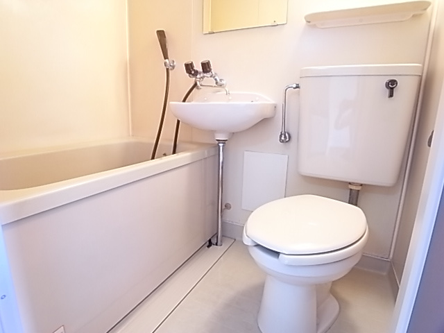 REGAL HOUSE Vの洗面所