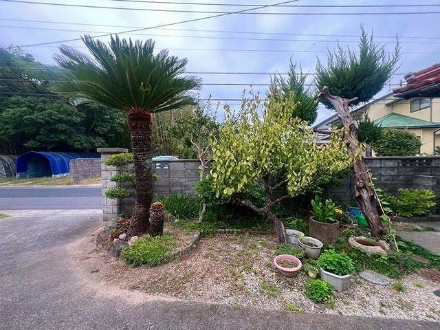 大崎中古戸建の庭|植栽になります〇
綺麗に手入れされております。