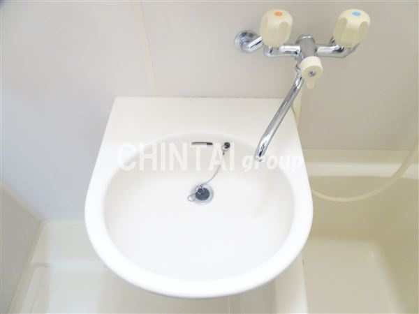 アニバーサリー１の洗面所