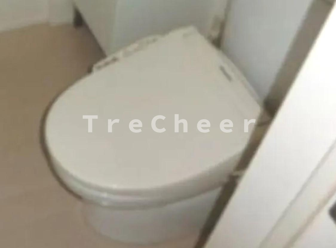 Grande House中板橋のトイレ