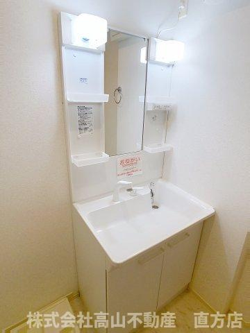 メゾン・ド・ソレイユＢの洗面所