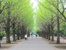 都立光ヶ丘公園　ゆり…まで638m