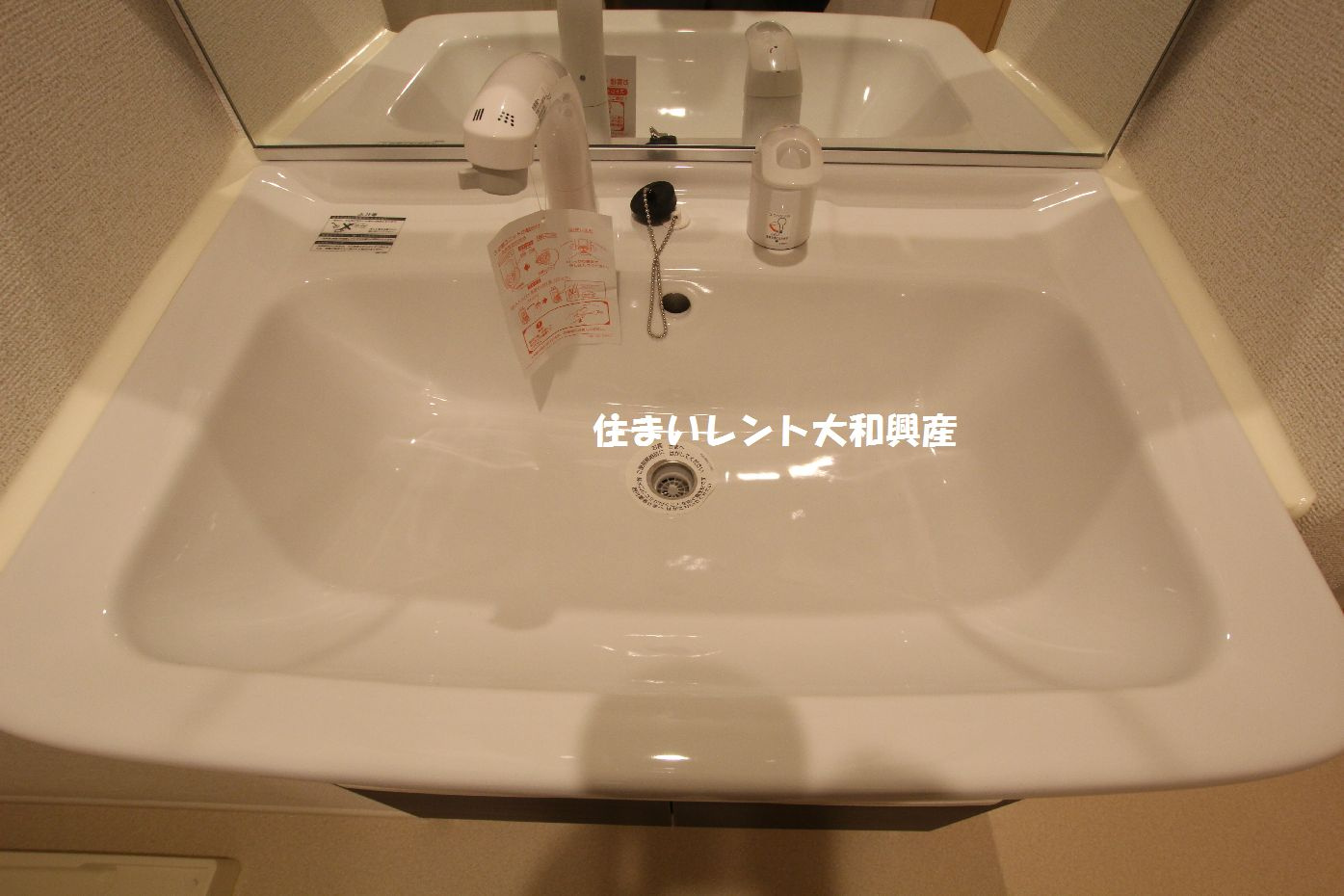 クリスタルメゾンしらかばの独立洗面台