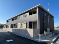 プルメリアの画像