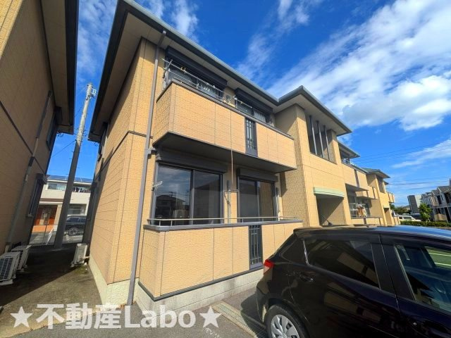 バリュージュＮ