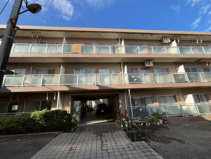 エクセル稲田の画像