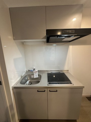 【キッチン】 | ルクシア大和 | 同間取の101号室の参考画像です。